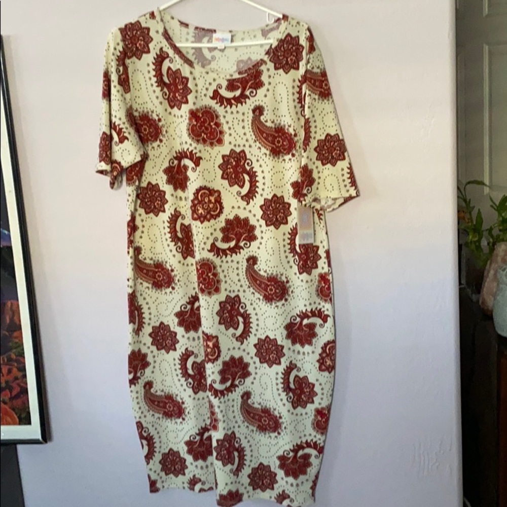 BNWT LulaRoe Julia dress